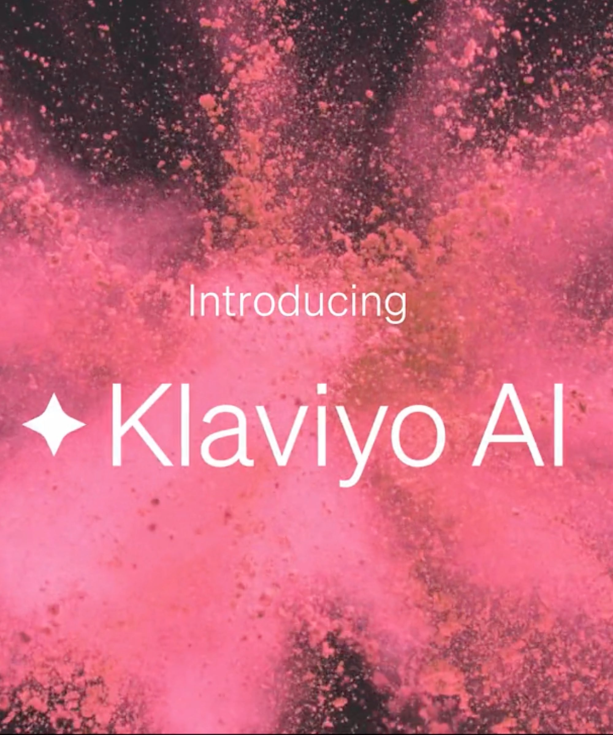 Klaviyo AI Agency Management